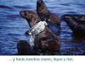 Video baseado em uma apresentação em powerpoint que aborda os problemas causados pelas sacolas plasticas no meio ambiente.
