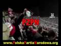 PZPN - jebać kurwy przekupne - Bubel Band