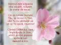 videos de Evelyn 02 - FLORI DE CIRES - Psalmii 1-25