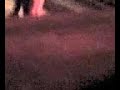 lors du concours de chant, un groupe hors-concours a fait son apparition en chantant des g�n�riques de dessins-anim�s � la sauce bisounours. d�sol� pour la mauvaise qualit�, portable oblige.