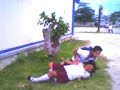wwe