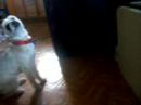 maggie maggie