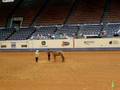 videos de Sister Clu: 2008 AQHYA World Show (Showmanship)