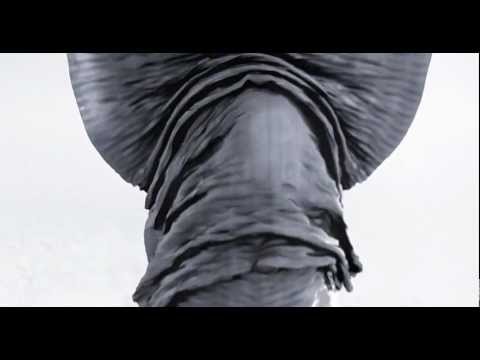 YouTube Preview Image