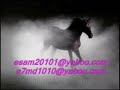 asala_yousef-msh-baki-gher-ashwaki