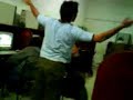 Pluma Gay