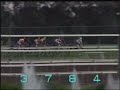 大意失荊州！沙田錦標 (沙田1600米) 12/10/1991 (凱旋燈, 翠河)「翠河」榮膺首匹三冠王一九九四年五月十五日，香港第一匹三冠馬王「翠河」在沙田馬場加冕。「翠河」於八九/九○年度來港，是首批自購新馬（PPG）之一。牠在九○/九一年度馬季開始上陣，六戰全勝，包括香港打比大賽。香港三冠大賽開辦的頭兩年，「翠河」都在首關屈居第二，直至九三/九四年度馬季，終能連闖董事盃、香港金盃以及香港冠軍暨遮打盃三關，成為第一匹，也是至今唯一的香港三冠王。這匹在九○/九一、九一/九二以及九三/九四年度三度當選香港馬王的名駒，曾於九一年十二月奪取香港邀請盃，擊敗「審慎」、「太子」等外來強敵；後來又曾先後遠征美國雅靈頓百萬金大賽、澳洲覺士盾及墨爾本盃，為香港賽駒衝向世界的先驅。在其競賽生涯中合共取得十六捷，包括連奪四屆香港冠軍暨遮打盃(九一至九四年)，連續三年在香港金盃稱霸(九二至九四年) ，以及女皇盃等等。