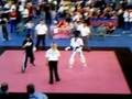 WAKO 2008 Jr. World Kickboxing Championships 2