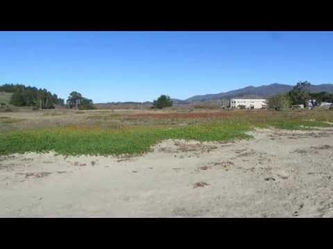 Video for Pillar Point Marsh Beach