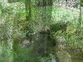 Vala Liburna - medvjedici