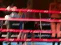 K1 Dacascos Harburg Benjamin Weist K1 muay thai muaythai