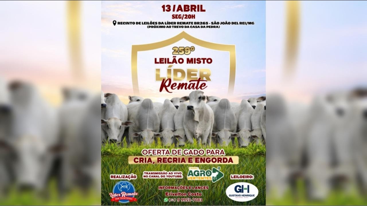 259º LEILÃO MISTO LÍDER REMATE - SÃO JOÃO DEL REI/MG - 13/04/2026