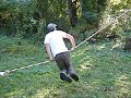 cutting down tree pt.1 cutting down tree pt.1