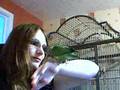 my sengal parrot&me