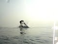 lake erie 6/18/07 Flatwater jetski freeride