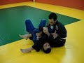 jiu jitsu   defesa arm lock indo pra cima