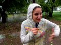 Hurricane Dolly  Live Report