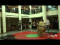 Pfoho Sumo Wrestling