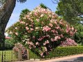 Tuscolano Maderno