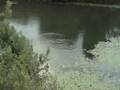 Fun Fishing with Penfishingrods.com