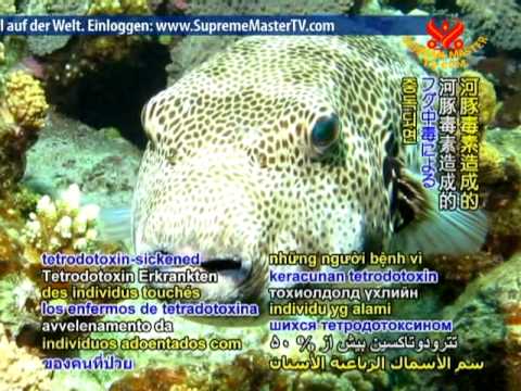 how to cure oyster poisoning