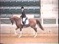 Aul Those Socks (Aul Magic X EC Natalie) first time shown