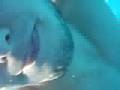 under the sea