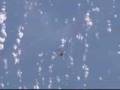 Progress M-65/30P: Independent Fligh