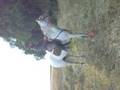fleur et son cheval