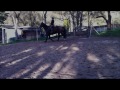 Click here to watch this video An Tagen wie diesen