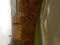 ptdr