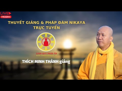 Kinh NIKAYA Giảng Giải - Tứ Thánh Đế - Tương Ưng Sự Thật -  Bóng Đêm Bao Phủ & Rùa Mù Gặp Bọng Cây