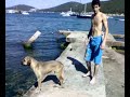Burgaz ada Köpe?e masaj yaparken.... Burgaz ada Köpe?e masaj yaparken....