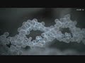 audi_tv 