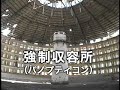 ??????????Cuba/Okinawa????
