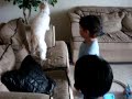 Felipe com o cachorro