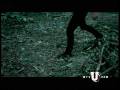 videos de Paramore - Decode