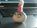 Puffer the blowfish 8D