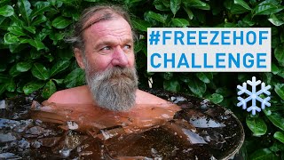 Freezehof challenge!