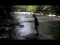 Click here to watch this video fly fishing the smokey mountains national park