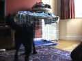 Go to your crate