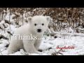 NO al maltrato Animal !!! Stop it!!! No more Cruelty and Maltreatment towards the Animals