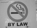 Smoker's Paradise