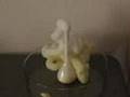 POTASSIUM IODIDE Experiment