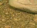 videos de Korea Sparkling(Seowon Valley)