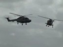 Black Cats Helicopter Pair at Yeovilton 2008
