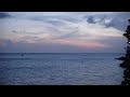 Pelican fishing in Aruba (Oranjestad)
