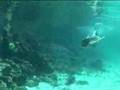 cancuncast.com - Garrafón Park