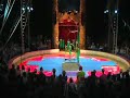 St. Louis Arches at Circus Flora 2008