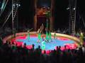 St. Louis Arches at Circus Flora 2008
